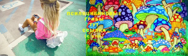 прущие крисы Абдулино