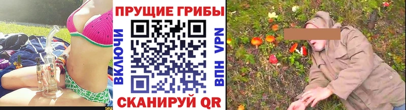 Псилоцибиновые грибы мицелий  что такое   Каменногорск 
